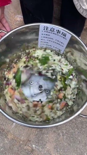 Smart Farming Hacks: Using a Vegetable Shredder for Raising Chickens, Ducks & Geese! #farmhack