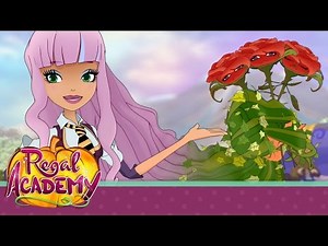 Regal Academy | A fairy-tale spring!