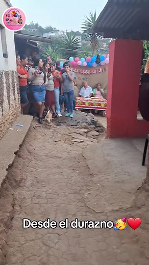 Videos de Deco craft Sanyuyo (@decocraftsanyuyo24) con “sonido original - Deco craft Sanyuyo”