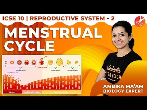The Reproductive System L2 | Menstrual Cycle | Vedantu ICSE Biology Class 10 | ‪@Vedantu9_10‬