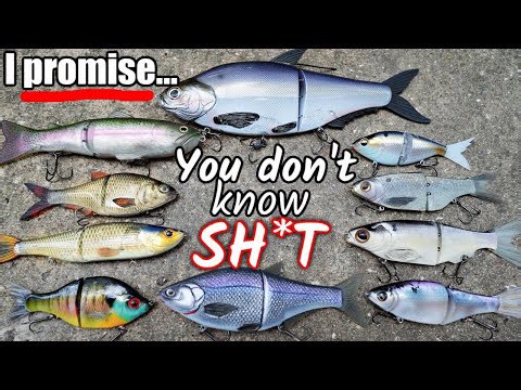 Most Anglers Use Glide Baits Wrong—Here’s the Fix