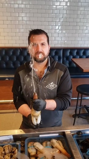 Discover the World's Largest Burrowing Clam: Geoduck Facts and Sashimi Delights!