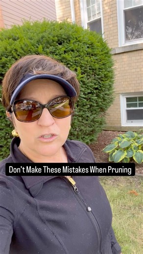 15K views · 371 reactions | So many people let the shrubs in front of...