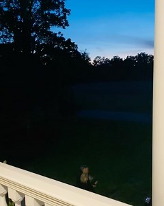 23 reactions | Magnolia Plantation and Gardens on Reels | Facebook