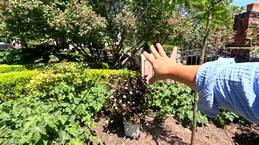 160K views · 5.4K reactions | Planting the Westside Urns, Kitchen Flower Bed & Echinacea + Mulching the Formal Flower Garden! 華 | Garden Answer | Facebook