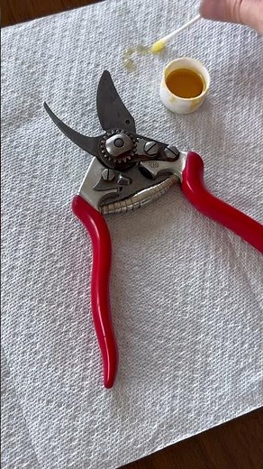 How To Clean Garden Pruners Without Harsh Chemicals #gardening #gardentips #pruning