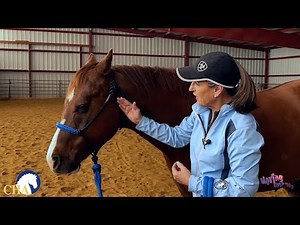 Adjusting the Rope Halter with Julie Goodnight