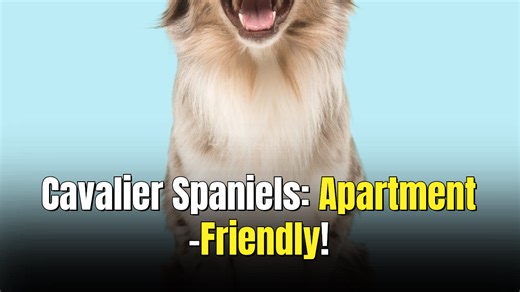 5 Breeds Of Dogs That Excel In Good Behavior