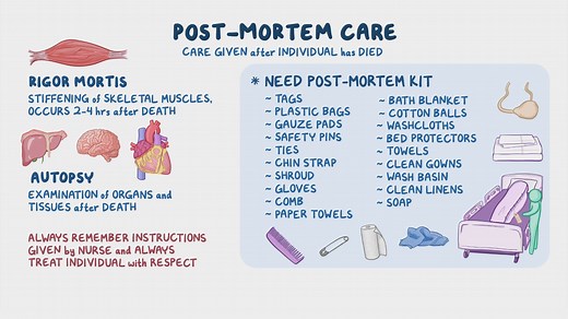 Video: Post-mortem care - Video Explanation! | Osmosis | Osmosis