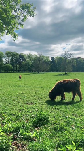 Showing off our beautiful Country Garden collection 🌿 Soft, romantic and effortlessly elegant — this collection brings a natural, timeless feel to your wedding styling. From delicate florals to fresh greenery textures, it creates the perfect setting for both indoor and outdoor celebrations. Perfect for any season wedding, whether you’re planning a light summer ceremony, a cosy autumn reception, or a classic spring celebration. Let us transform your space into a dreamy garden-inspired setting ✨ 