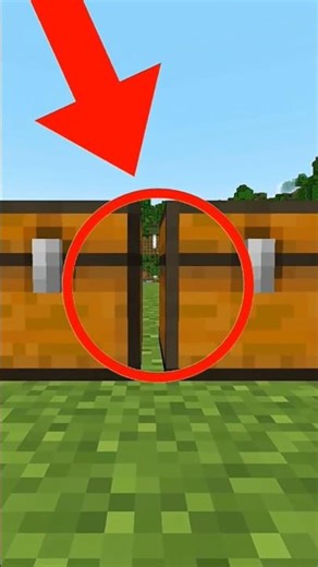 Kya Me Chest Ke Bich Se Nikal Paunga? #minecraft #shorts #minecraftshorts