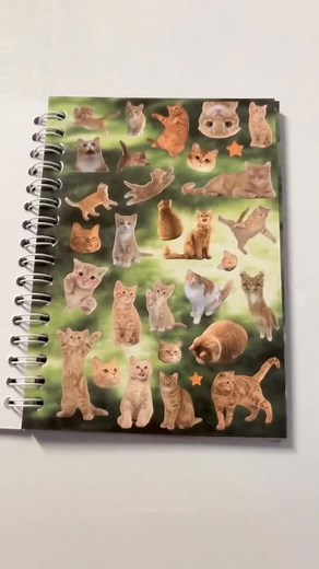 ✨ Two styles, endless cuteness!  Meet our Dog & Cat Sticker Pack — high-quality vinyl stickers that stick to laptops, planners, scrapbooks, water bottles and more. Easy-peel, durable, and residue-free; brighten gifts or craft projects in seconds. Perfect little pick-me-up — stick them, smile, repeat!  https://aestheticisn.com/products/800-cute-pet-stickers-2-styles-30-sheets-for-scrapbooking-diy-crafts | Aestheticisn.com | Facebook