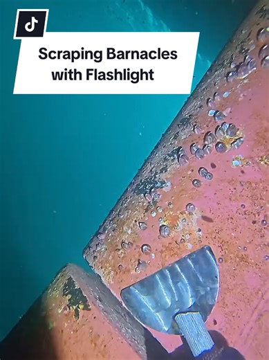 Scraping Barnacles from Ships with a Flashlight