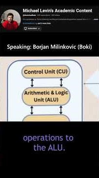 Biological and Artificial Consciousness by Borjan Milinkovic and Jaan Aru
