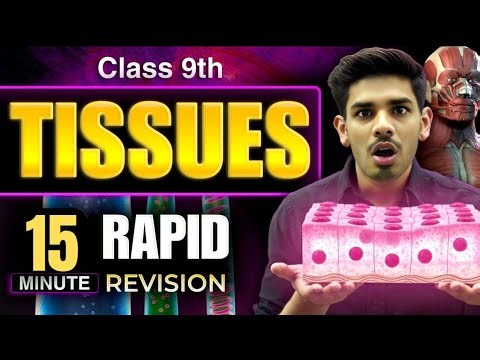 Tissue in 15 Minutes 🔥 | Class 9 Science Chapter 6 | Rapid Revision | CBSE NCERT |Gradient LearnHub