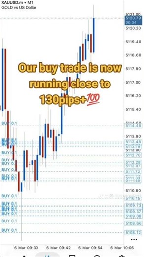 forex account management is available