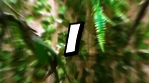 I Built a Secret Room, Inside a Secret Room, Inside a Secret Room!