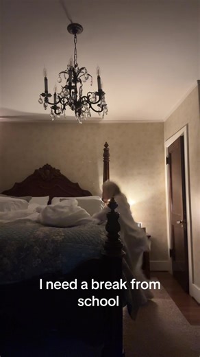 Navigating High School as an Exchange Student