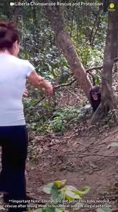 Animals teach us love #puppy #cutecatandpuppyworld #animal #cute #cutepuppylovers #cutepetshow #pet #cutepet #dog | Harii Simone