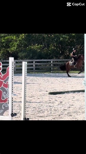 Silly pony✨☺️