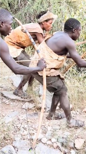 They Knew the Risk… Then Moved Ahead Anyway | Bush Awareness!
