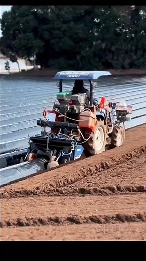 Preserving Greenhouse Veggies Fresh with Poly– A Unique Approach