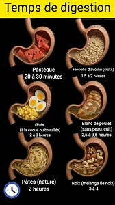 959K views · 1.4K reactions | ✅ 6 aliments et leur temps de digestion...