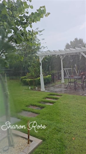 Satisfying rain... #gardening #gardeninspiration #rain #backyard #pergola #SharonRose #engagement #monetization #ContentMonetization #followtofollow | Sharon Rose