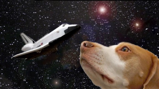 Meet the World’s Tallest Lemon Beagle Dog