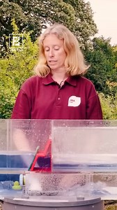116K views · 979 reactions | Physics At Its Best  This River Tank Demonstration Help Scientists Understand River Flow!!! 勞 | Fossbytes | Facebook
