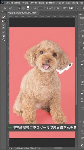 【写真をきれいに素早く切り抜く方法】 #photoshop #webデザイン #切り抜き加工
