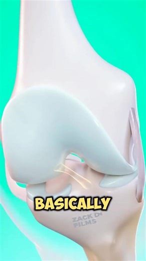 ACL Surgery: From torn to reborn! 例 Watch how surgeons rebuild your knee's most important ligament. #acl #kneesurgery #arthritis #medical #surgery | Life+Health. | Facebook