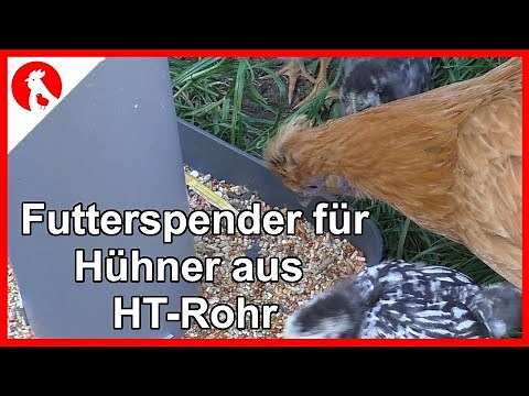 103 Futterspender aus HT-Rohr flott selbst gebaut - Jensman and the Huhns