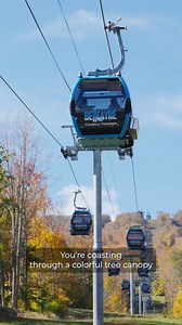 Imagine yourself at the annual Fall Festival presented by Subaru! Colors popping, music vibing, and a smorgasbord of sights, smells, and tastes that is uniquely New York. We are now less than two weeks away from our favorite offseason celebration and cannot wait for you to join us the first two weekends of October at the Discovery Lodge! #belleayre #catskills #fallfestival #oktoberfest | Belleayre Mountain