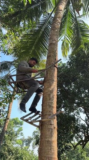 Trying to Climb a Coconut Tree! 🥥 | Uncle’s Clever Machine