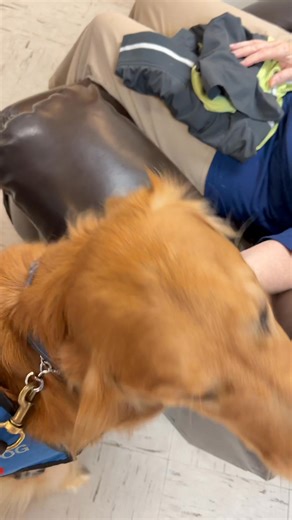 Bunker and RJ had so much fun this morning visiting their friends at Key Training Center and Key Elder Care 🐾🐶 #TherapyDogTraining #therapydogsofinstagram #therapydoglife #dogsofinstagram #doglovers #doglife #caringk9s #therapydogs | Caring K9s Inc