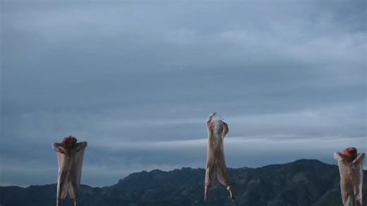 The Acid - Basic Instinct (Official Video)