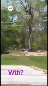 She thought it was a man pacing back and forth for hours and days at a time in one specific area of the treeline… it wasnt… but what is it?Video cred: BettsnAngel69 #theparanormalchic #shadowman #shadowpeople #scary #spookyseason #church #haunted #unexplained #paranormal #paranormalinvestigation #supernatural #shadow #paranormalvideos #haunting #fear #ghost #ghostmane #fyp | ParanormalLink