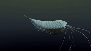 Ancient Four-Eyed Predator Wielded Wicked Toothy Claws