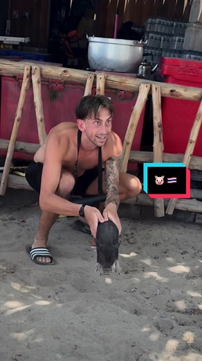 Pig Island Koh Samui: A Thai Solotraveler's Experience