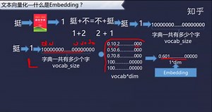 什么是Embedding？