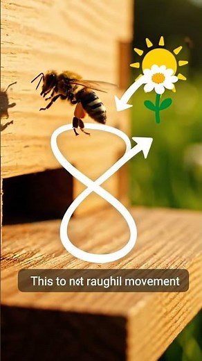 How bees actually communicate 🐝 #bee #nature #shorts