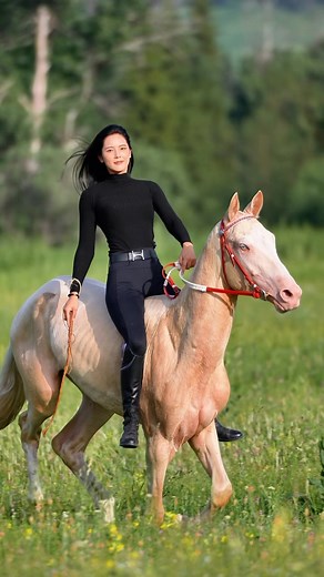 陶明秀 | 夏日的那拉提，我找到了梦里的那片草原 😘❤️#doris #taotaoaima #horseriding #horsevideo #horseride #horserider #horses #horse #funny #funnyvideos | Instagram