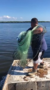 1.5M views · 10K reactions | Cast netting roe mullet | J1 Fighter | Facebook