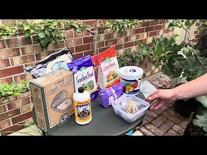 Lesson 5: Fertilizing Potted Figs