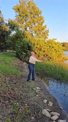 #8ball #billiards #poolhall #pool #poolplayer #sports | Cute poolplayer