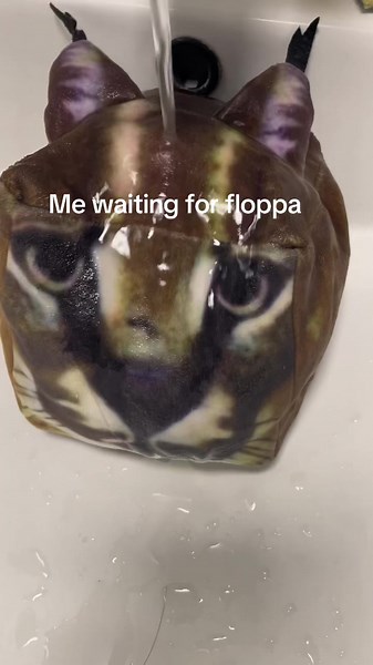 Floppa😩 #floppa #meme #floppagigachad #floppameme #viral #fyp #dc #everydaywithoutfloppa #mewaitingforflopp