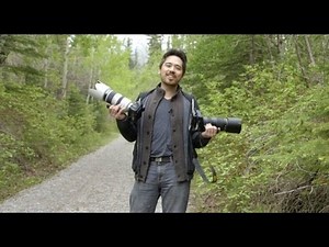 Nikkor AF-S 80-400 VR vs Sony 70-400 II Shootout