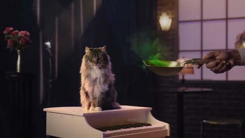 Don't Throw Out Old Coffee Grounds Before Trying This Simple Cleaning Hack