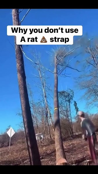 Why you don’t use ratchet straps for tow straps #recovery #rigging #trees #outdoors #fail